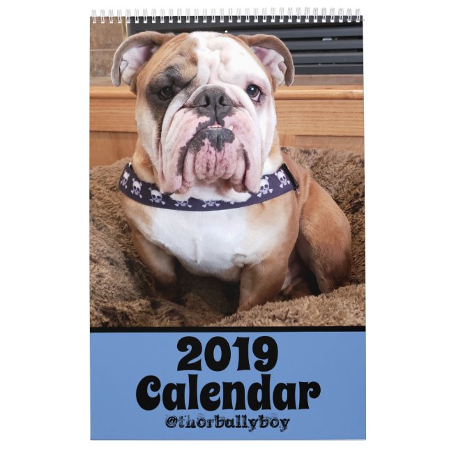 Thor kalendern för bulldogg 2019 kalender (Omslag)