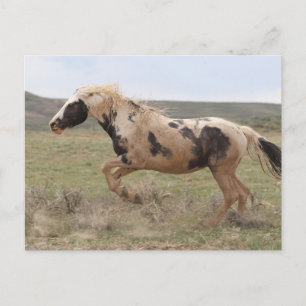 Thor McCullough Peaks Vykort