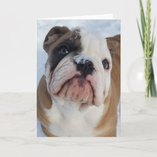 Thor som bulldogggod jul Card Helgkort