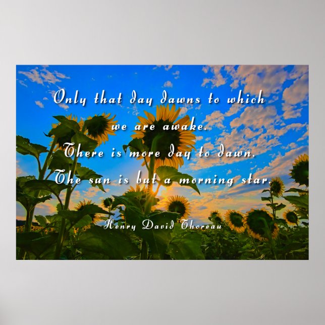 Thoreau, Morgonstjärnan Poster (Framsidan)