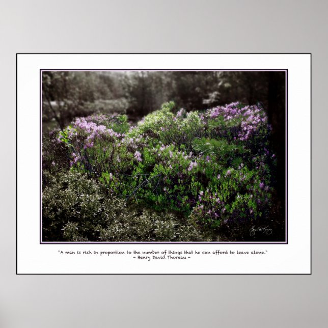 Thoreau Quote Poster - Får Laurel (Framsidan)