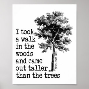 Thoreau Träd Citat Natur - Gå i skogen - H Poster