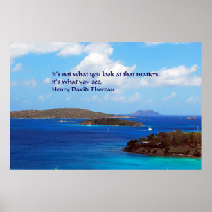 Thoreau visdom poster