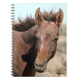 Thorin of Sand Wash Basin Anteckningsbok