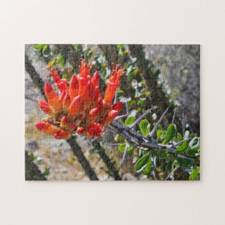 Thorns & Fire Blossoms Puzzle, 11" x 14", 252 pcs Pussel
