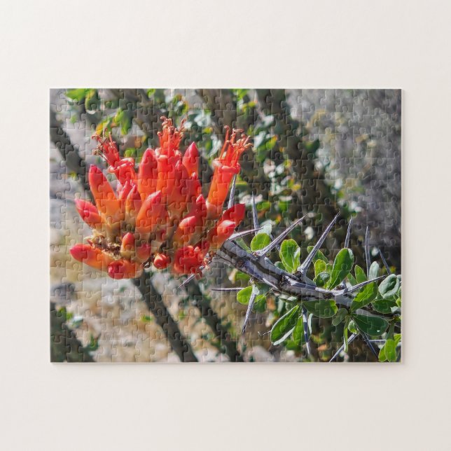 Thorns & Fire Blossoms Puzzle, 11" x 14", 252 pcs Pussel (Horisontell)