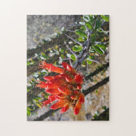 Thorns & Fire Blossoms Puzzle, 11" x 14", 252 pcs Pussel