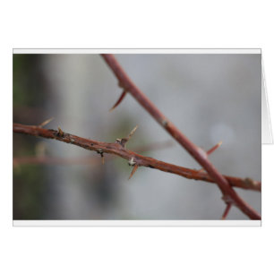 Thorns Hälsningskort