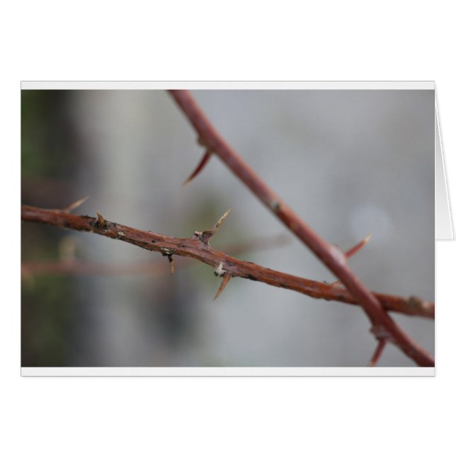 Thorns Hälsningskort (Framsidan Horizontal)