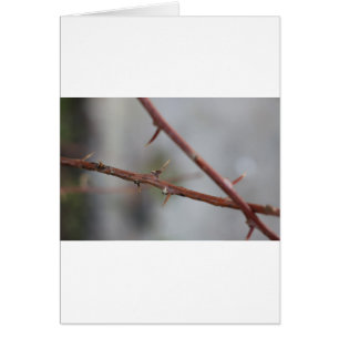 Thorns Hälsningskort