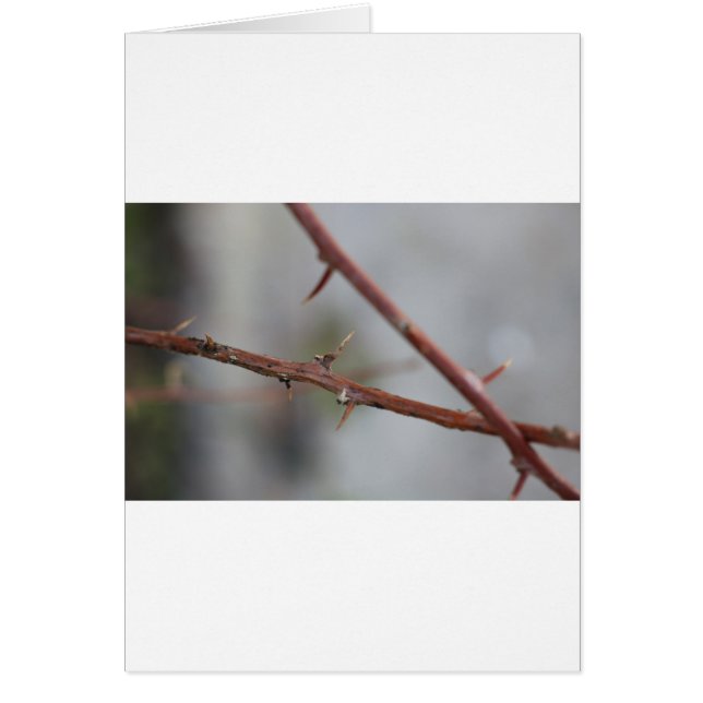 Thorns Hälsningskort (Framsidan)