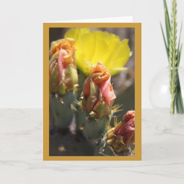 Thorns spel kort (Framsida)