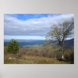 Thornton Gap View i Vår Poster