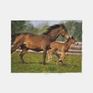 Thoroughborn Chestnut Mare & Foal Fleecefilt