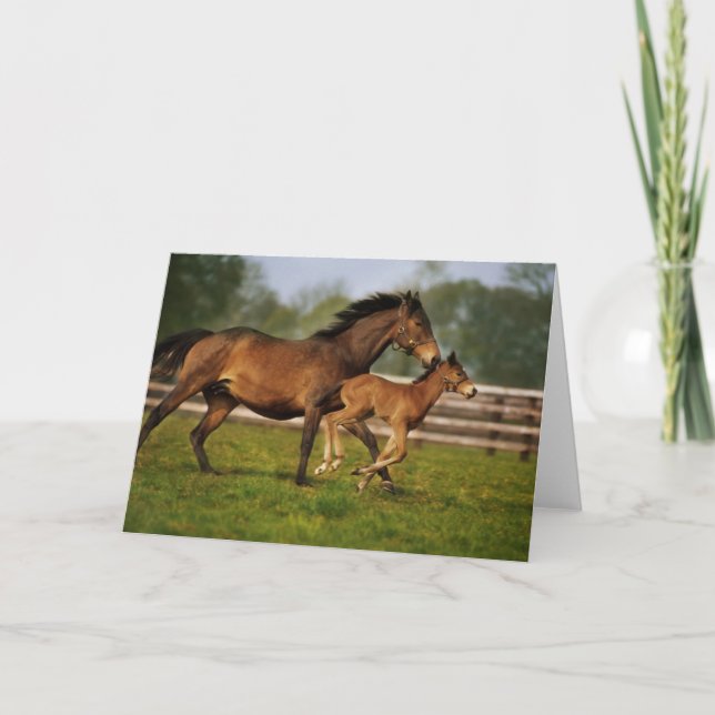 Thoroughborn Chestnut Mare & Foal Kort (Framsida)