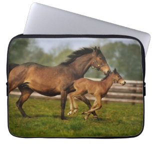 Thoroughborn Chestnut Mare & Foal Laptop Fodral