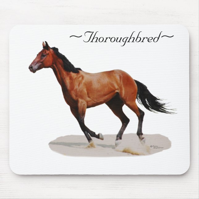 Thoroughborn galloping Mousepad Musmatta (Framsidan)