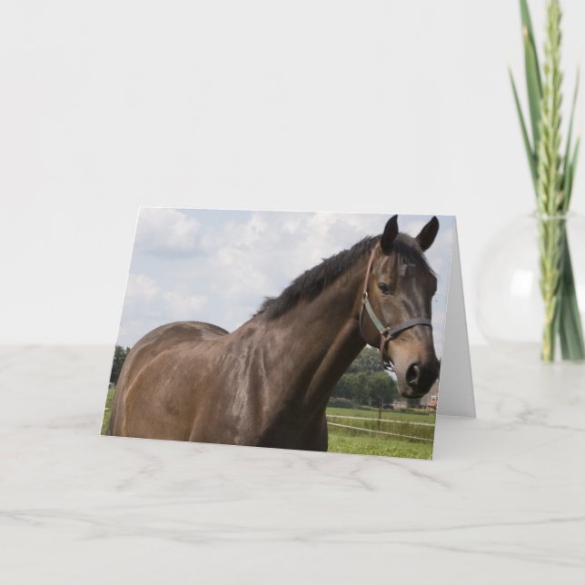 Thoroughborn Horse Card Kort (Framsida)