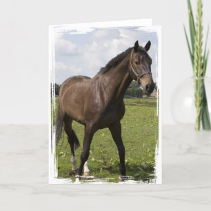 Thoroughborn Horse Card Kort