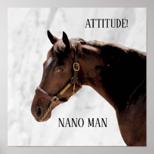 Thoroughborn Horse - Nano Man - Attitud Poster