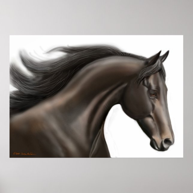 Thoroughborn Horse Poster (Framsidan)