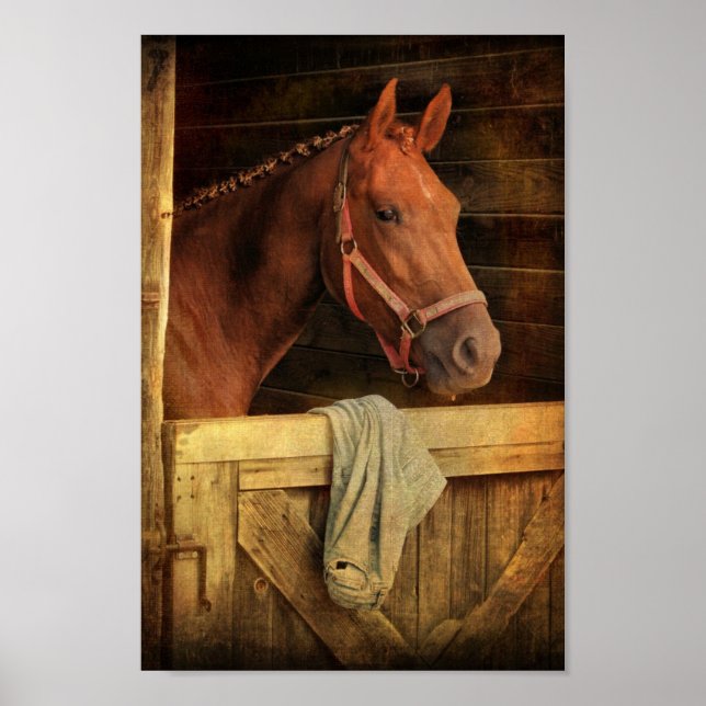 Thoroughborn Horse Poster (Framsidan)