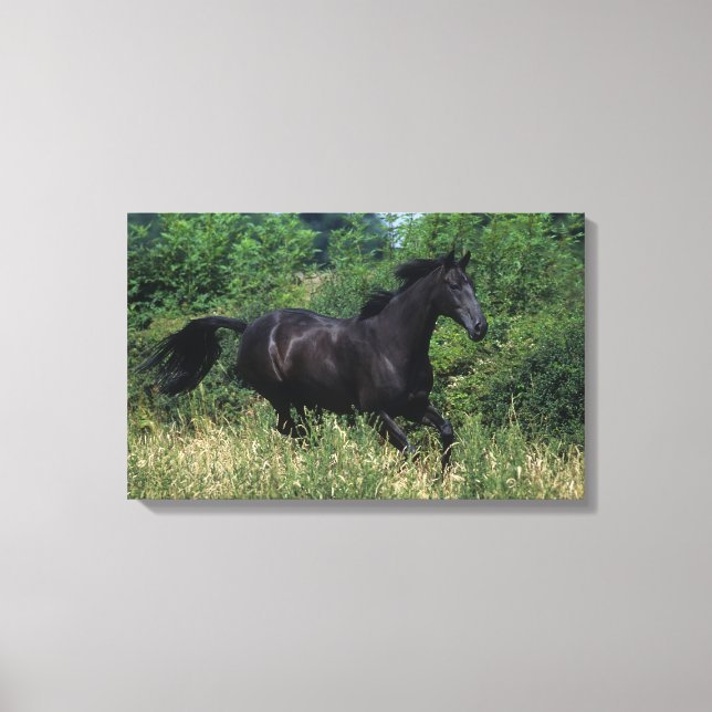 Thoroughborn Horse Running in Grass Canvastryck (Framsida)