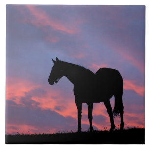 Thoroughborn Horse Silhouetted at Sunrise Kakelplatta