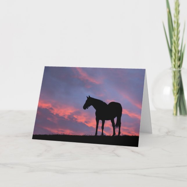 Thoroughborn Horse Silhouetted at Sunrise Kort (Framsida)