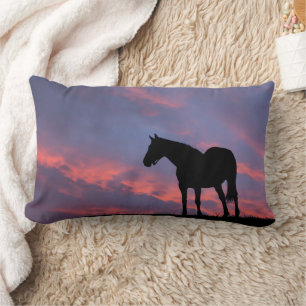 Thoroughborn Horse Silhouetted at Sunrise Lumbarkudde