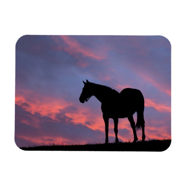 Thoroughborn Horse Silhouetted at Sunrise Magnet (Horisontell)
