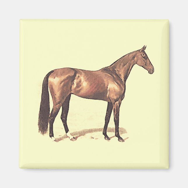 Thoroughborn Magnet (Framsidan)