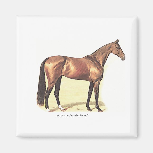 Thoroughborn Magnet (Framsidan)