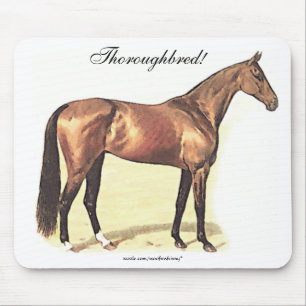 Thoroughborn Musmatta