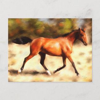Thoroughborn Spirit Horse Art Vykort