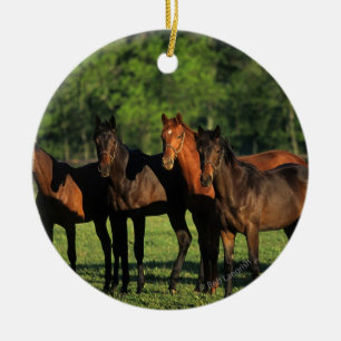 Thoroughbredårsgammal djurunge julgransprydnad keramik
