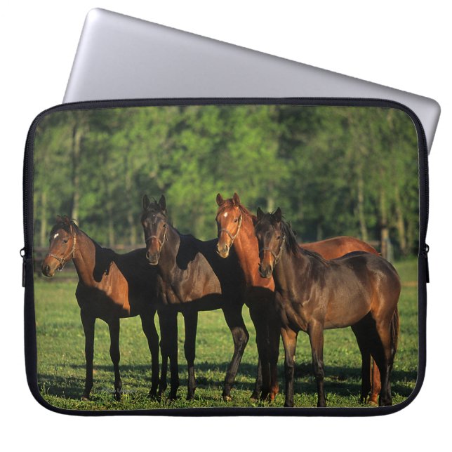 Thoroughbredårsgammal djurunge laptop sleeve (Framsidan)