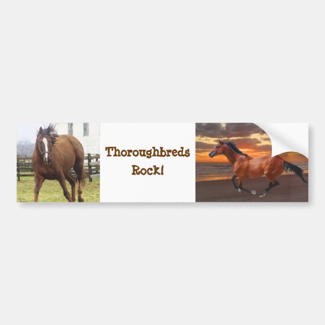Thoroughbreder Sten Bumper Sticker Bildekal (Framsidan)