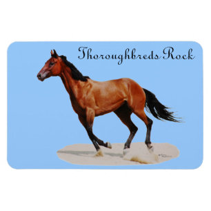 Thoroughbreder Sten Premium Magnet