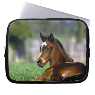 Thoroughbredhäst Irland Laptop Sleeve