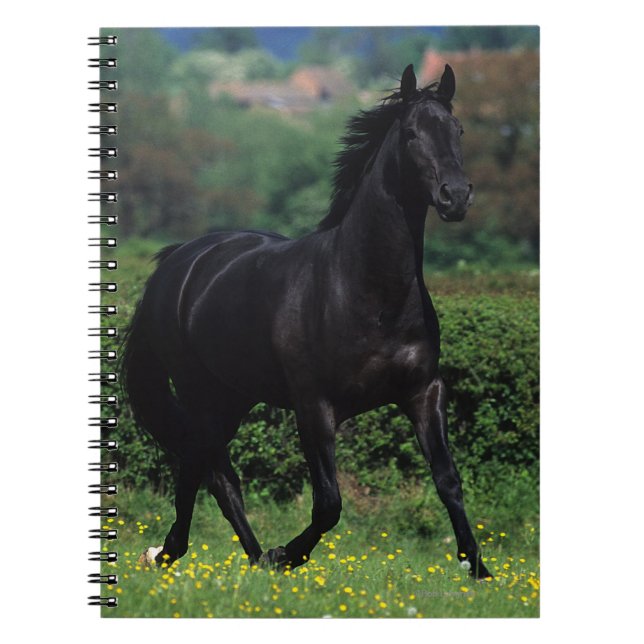 Thoroughbredhästar i blommafält anteckningsbok (Framsidan)