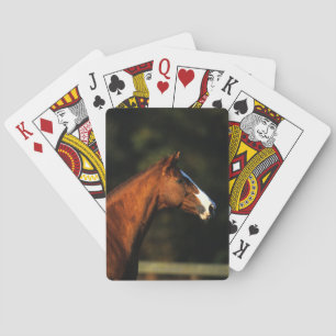 ThoroughbredhästHeadshot Casinokort