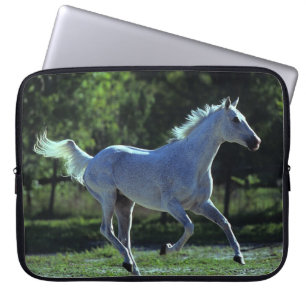 Thoroughbredhingstspring Laptop Sleeve