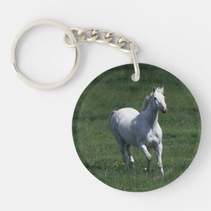 ThoroughbredMare