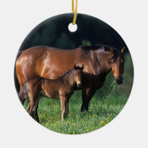ThoroughbredMare & föl 1 Julgransprydnad Keramik