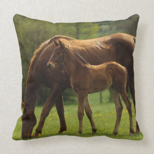 ThoroughbredMare & föl 2 Kudde