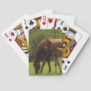 ThoroughbredMare & föl 2 Spel Kort