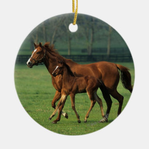 ThoroughbredMare & föl 3 Julgransprydnad Keramik