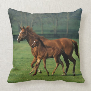 ThoroughbredMare & föl 3 Kudde