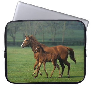 ThoroughbredMare & föl 3 Laptop Sleeve